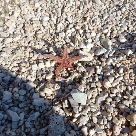 Smjestaj Rab, Brna ,soba Sa Kuhinjom Lejlighed