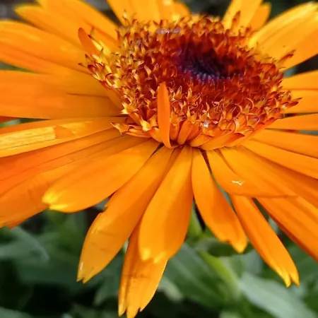 Smjestaj Rab, Brna ,soba Sa Kuhinjom Lejlighed