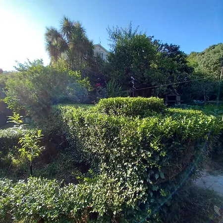 Smjestaj Rab, Brna ,soba Sa Kuhinjom * Palit